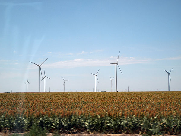 wind farm